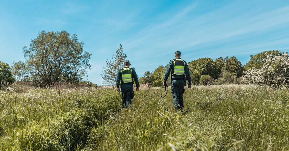Guardia Forestal: innovación en vigilancia satelital para proteger los bosques de Michoacán 1 guardas o agentes rurales