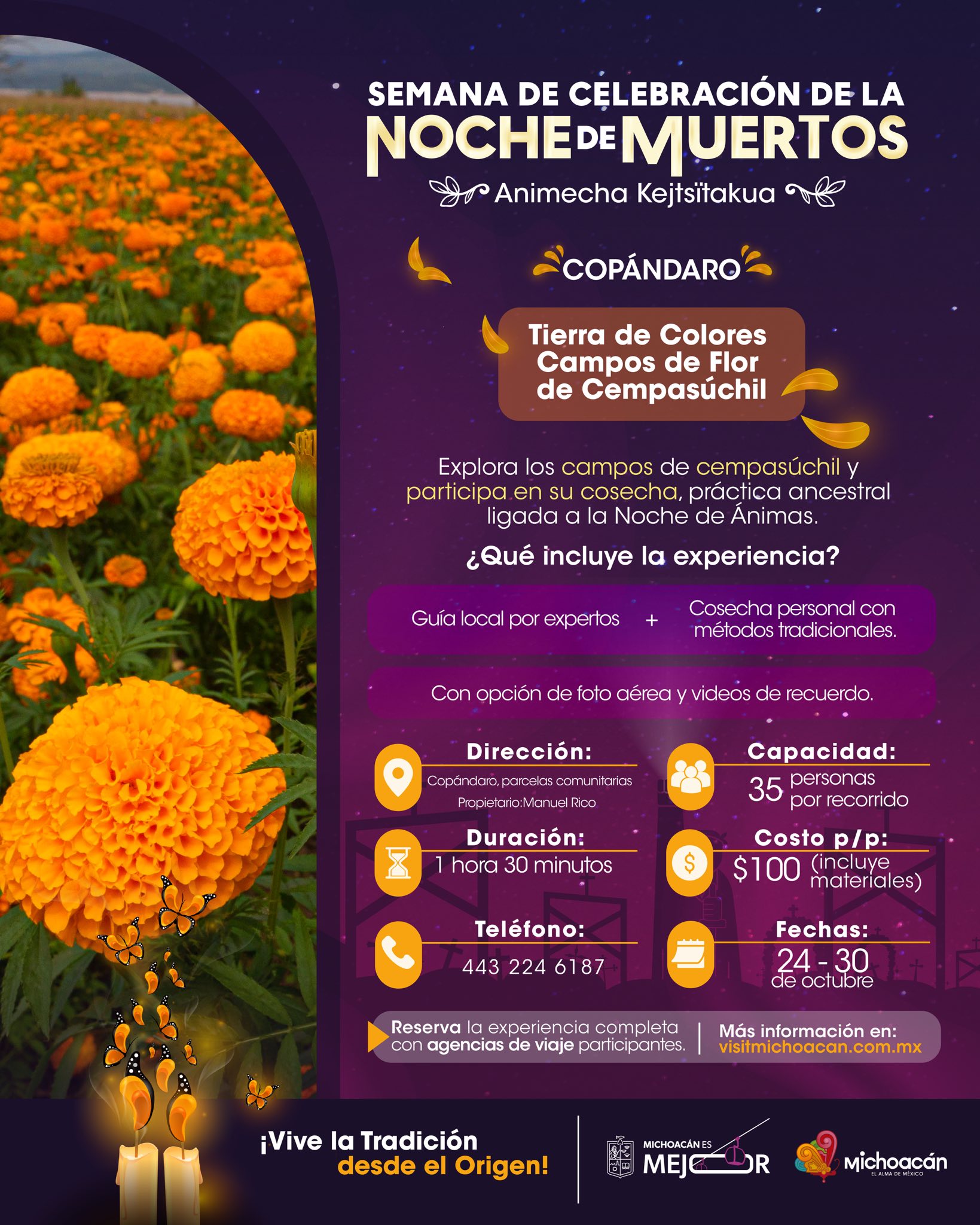 El Festival de las Almas y las Flores: Un Mar de Flor de Cempasúchil en Copándaro 1 flor
